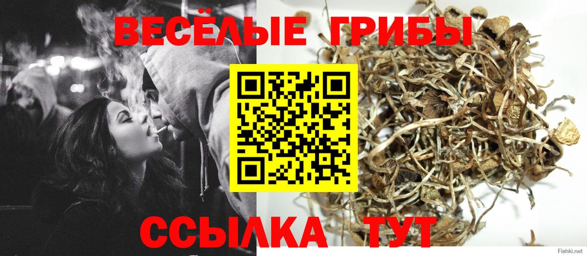 Галлюциногенные грибы мухоморы  Вход с VPN  Псилоцибиновые грибы прущие грибы  Кубинка 