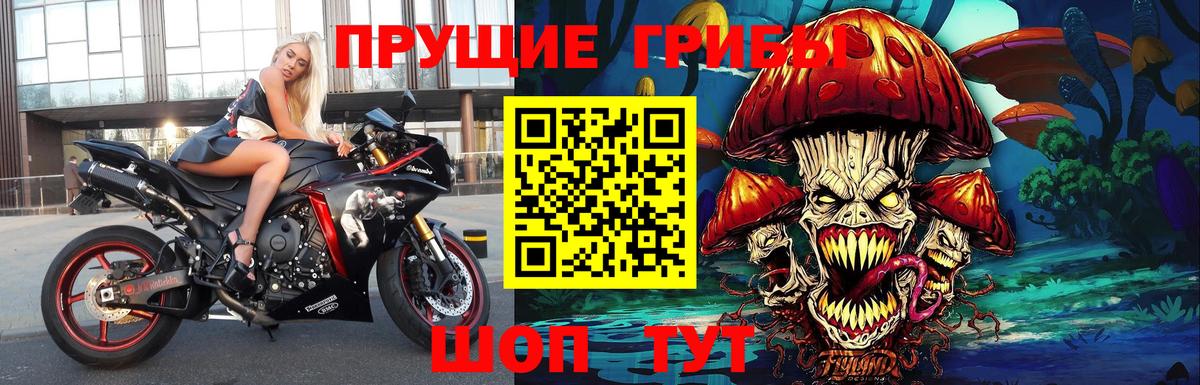 Псилоцибиновые грибы Psilocybine cubensis Кубинка
